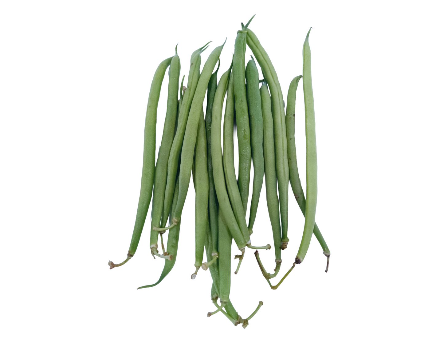 Harricot Fine Bean (150 GM/PKT)