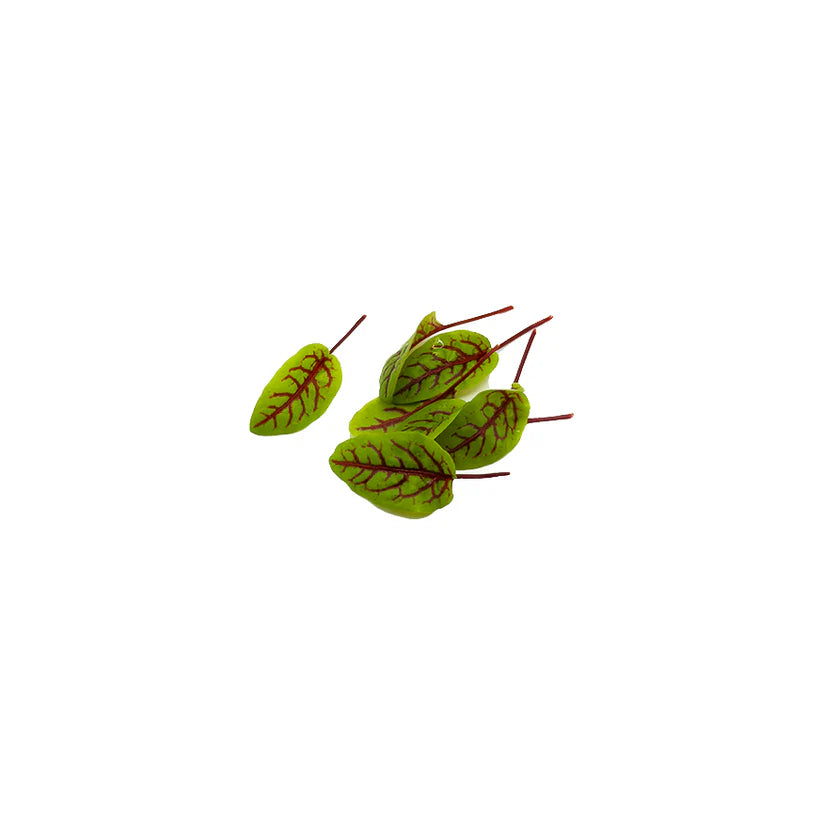 Cut Microgreen Red Vein (Nosh)