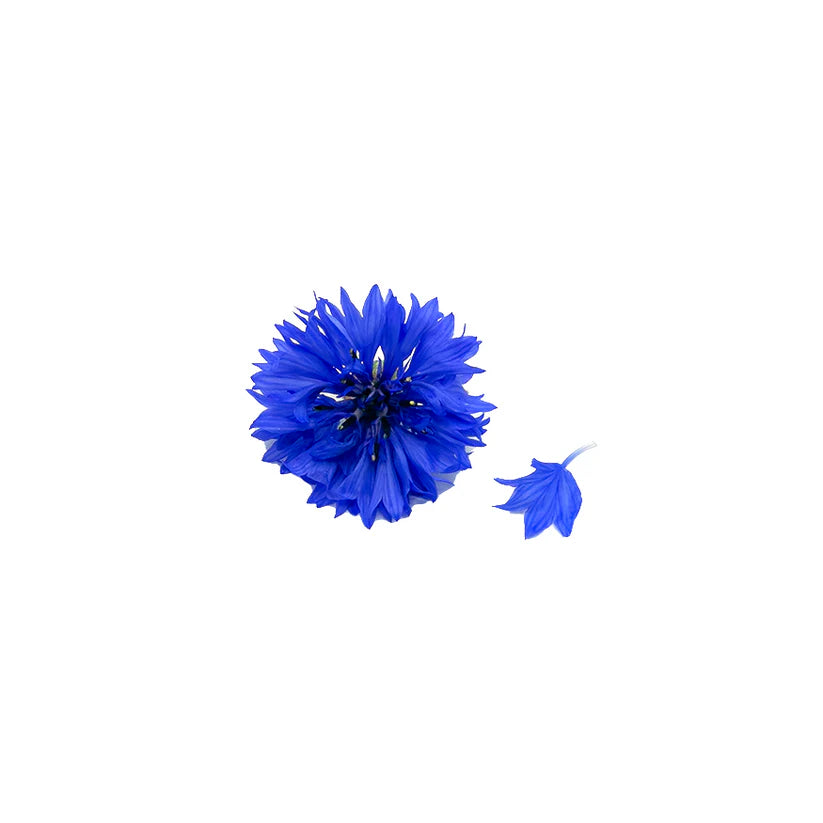 Edible Flowers - Cornflower (Blue) (Nosh)