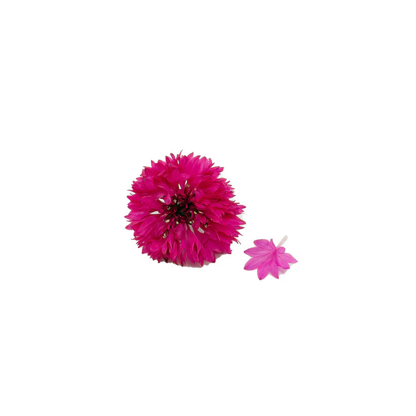 Edible Flowers - Cornflower (Dark Pink) (Nosh)