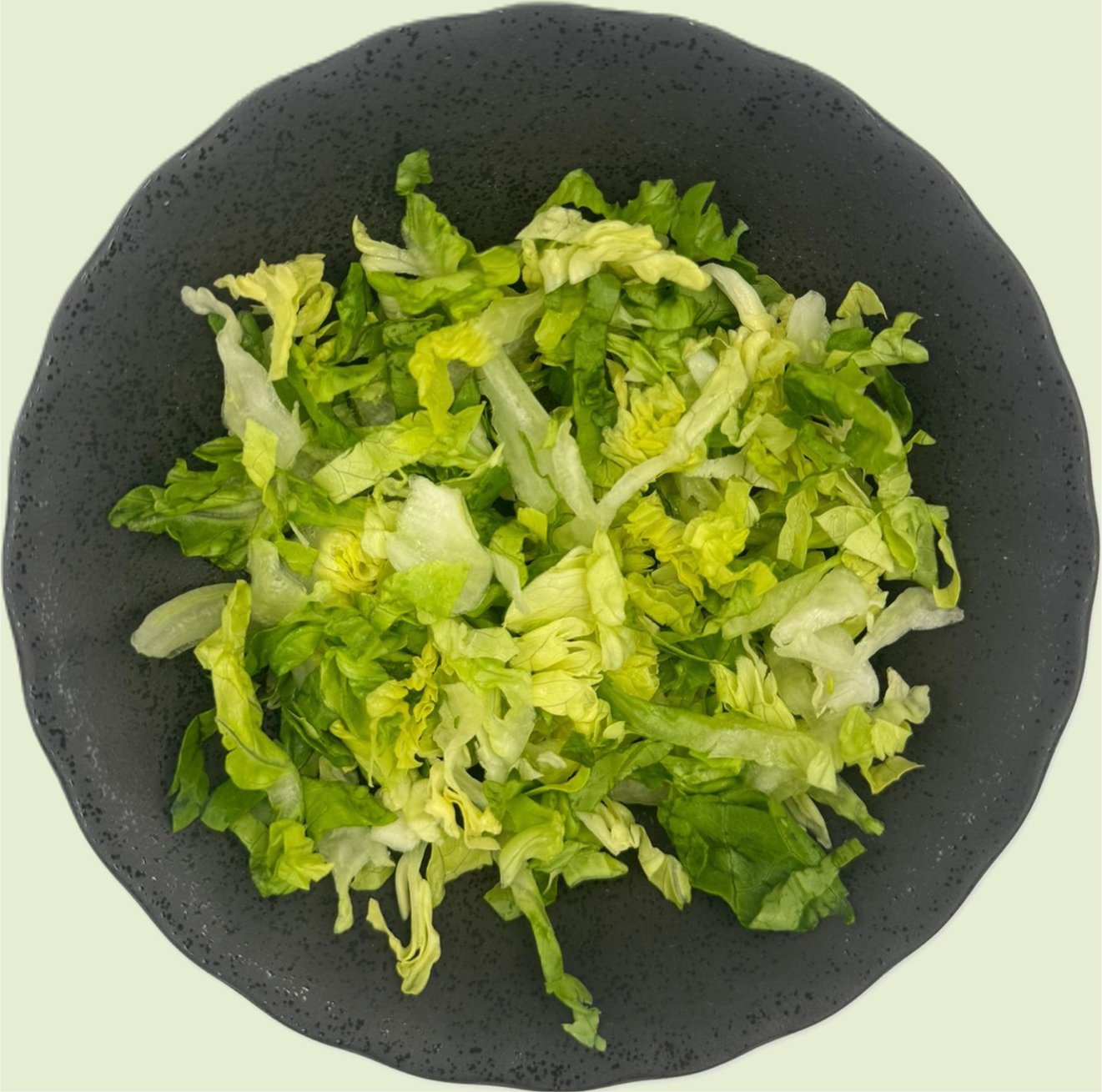 Lettuce Romaine Baby - Shredded 0.5cm - 0.5kg/tub (Kito) SS