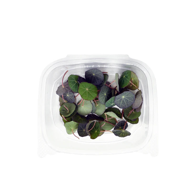 Herbs - Nasturtium Leaves (Small) (Nosh)