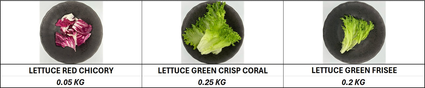 Premium Salad Mix - 500gm/Pkt