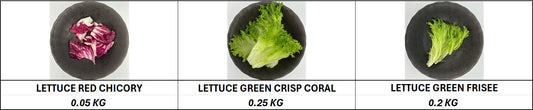 Premium Salad Mix - 500gm/Pkt