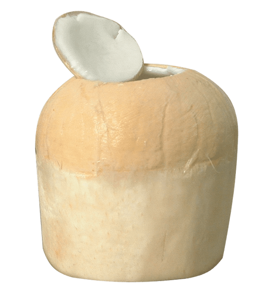 Coconut Top Off