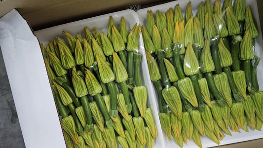 Zucchini Flower Australia