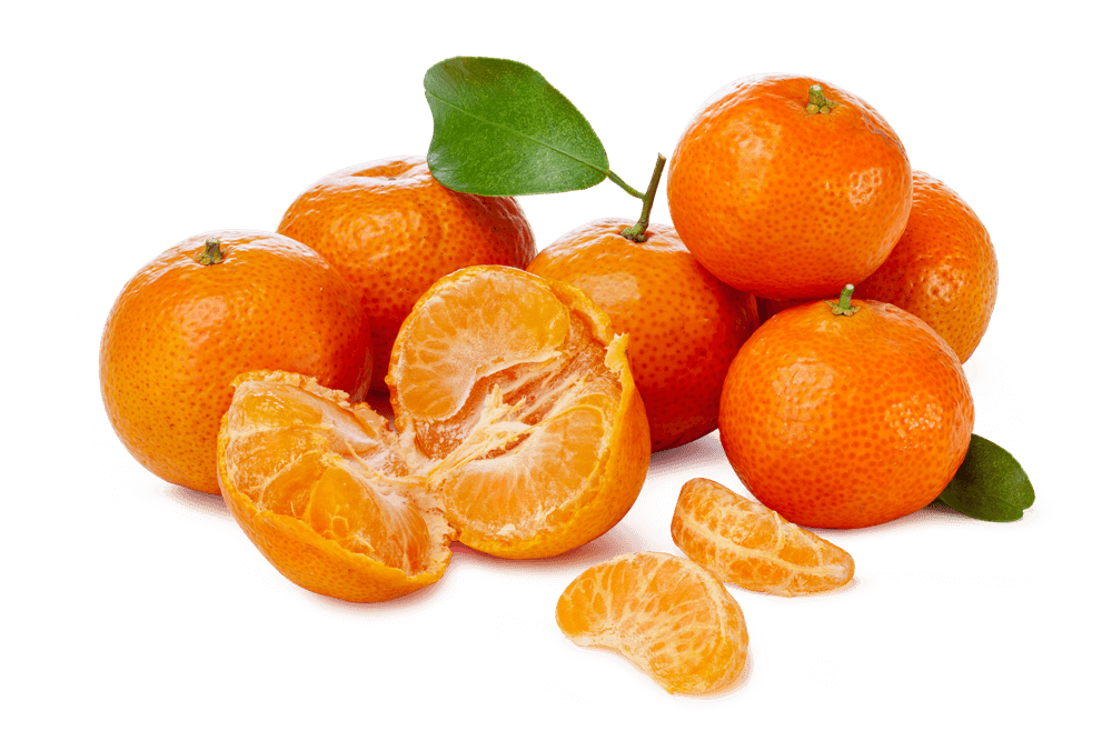 Mandarin Orange Mini