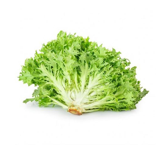 Lettuce Green Frisee