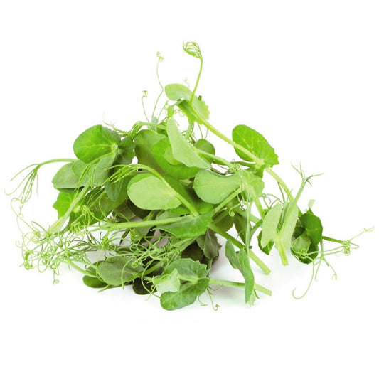 Pea Tendrils (Holland) (110gm)