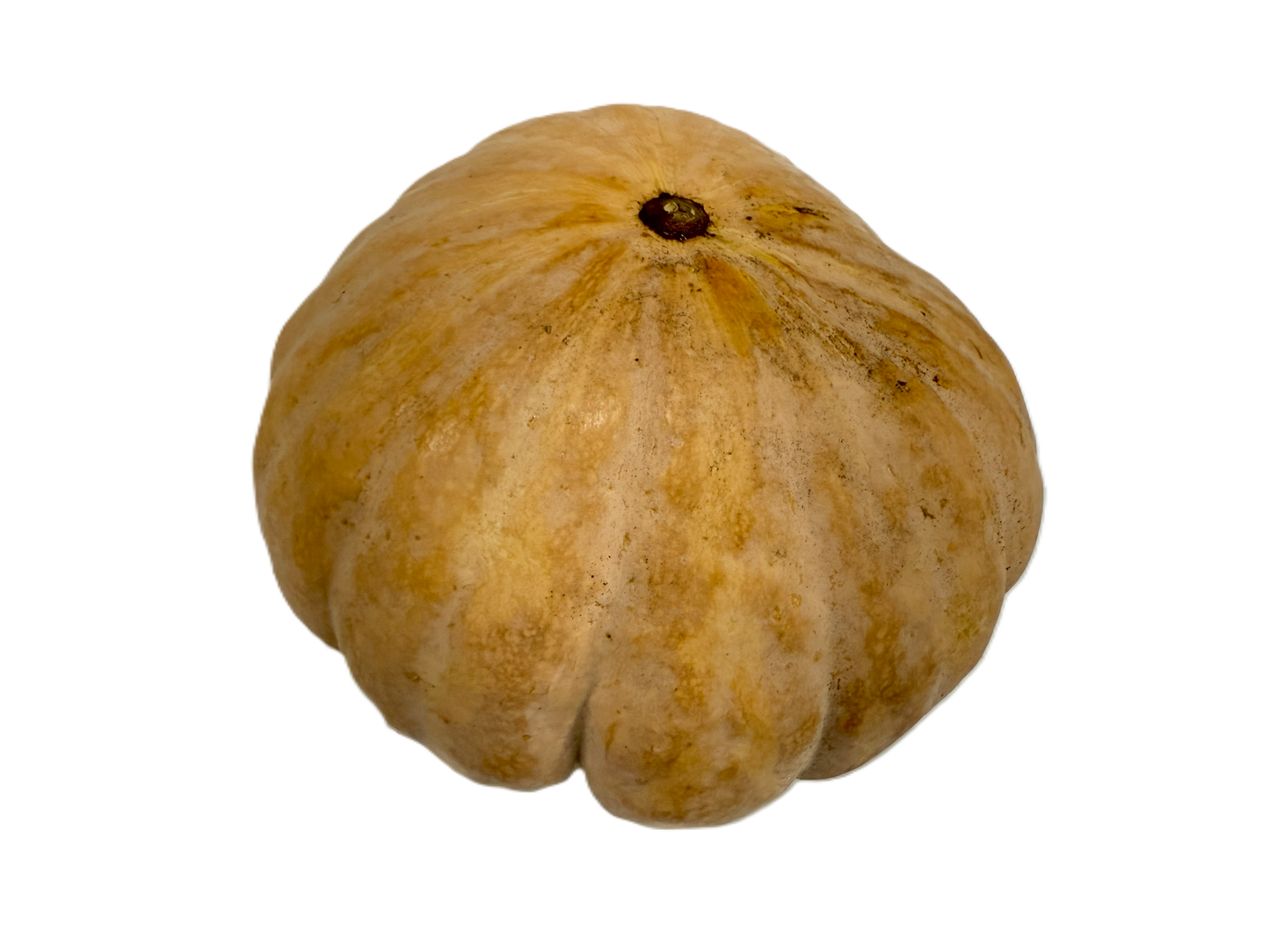 Pumpkin Local
