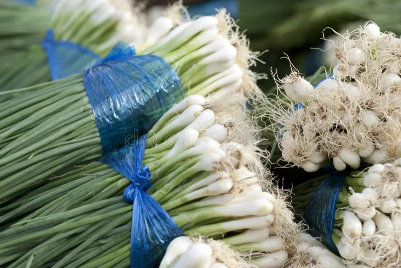 Spring Onion (Thailand)