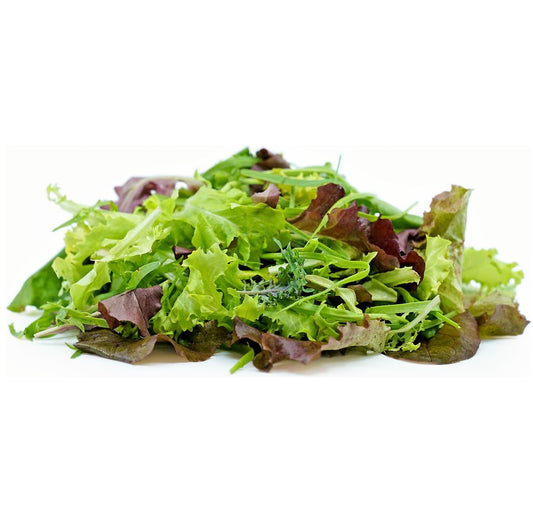Lettuce Mesclun (Aust / USA)