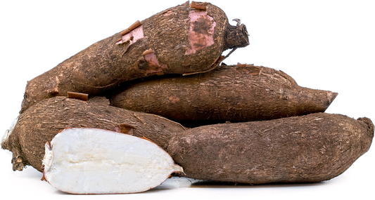 Tapioca / Cassava