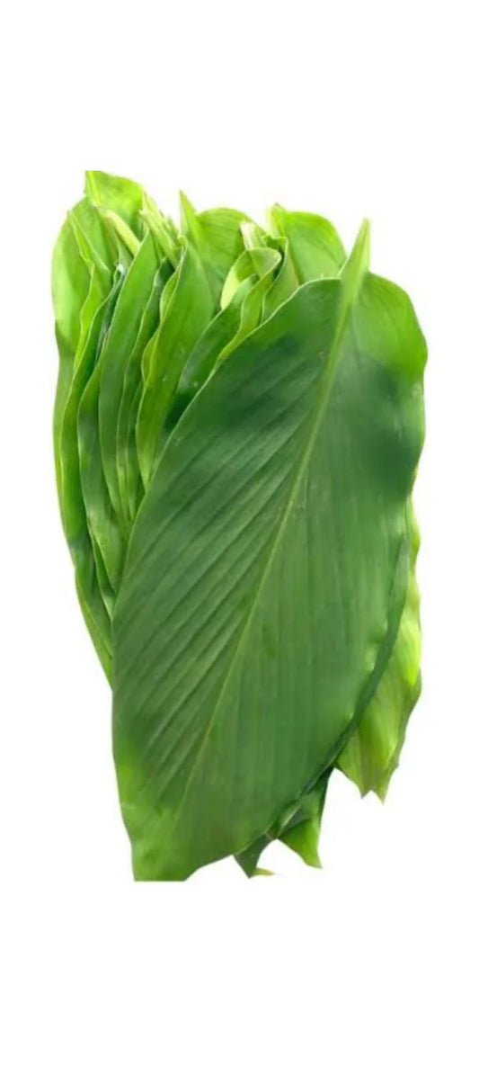 Tumeric Leaves