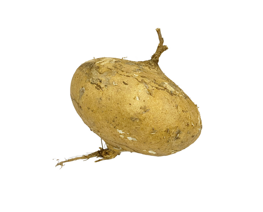 Turnip White (Mang Guang)
