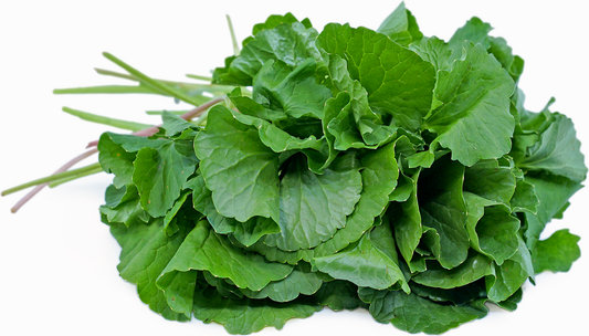 Pennywort (Thailand)