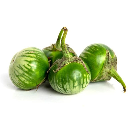 Eggplant Round Thai Baby Green