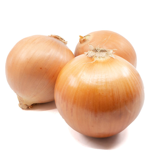 Onion Colossal