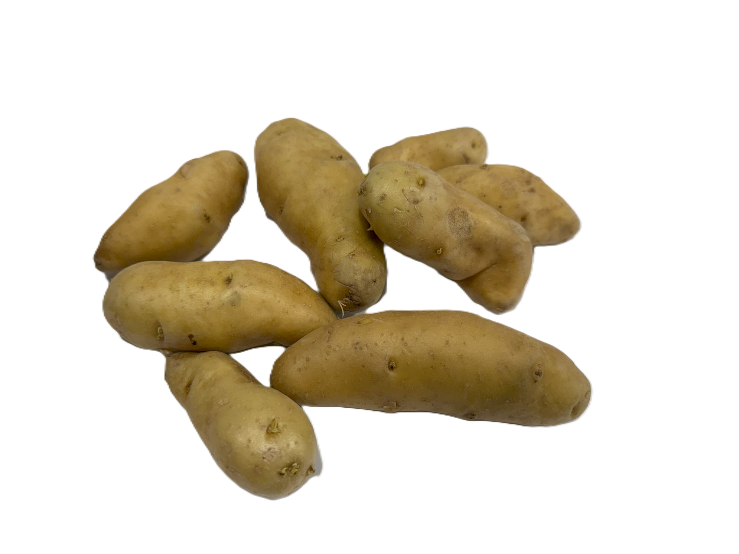 Potato Ratte
