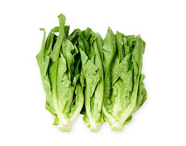 You Mai Chye / Yau Mak Choy