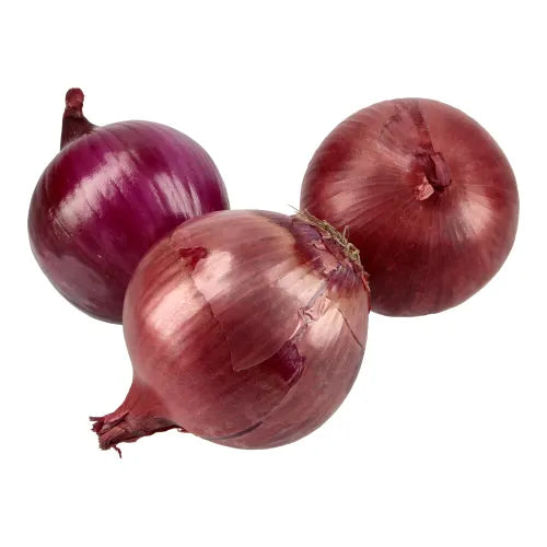 Onion Purple Spanish