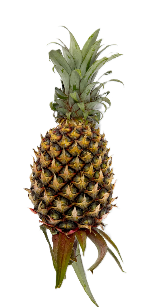 Pineapple Honey