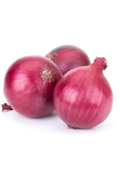 Onion Purple Spanish