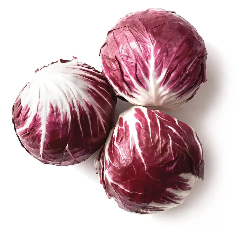 Lettuce Red Chicory