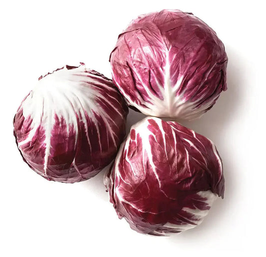 Lettuce Red Chicory