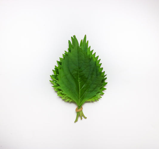 Oba leaves (100gm/pkt)