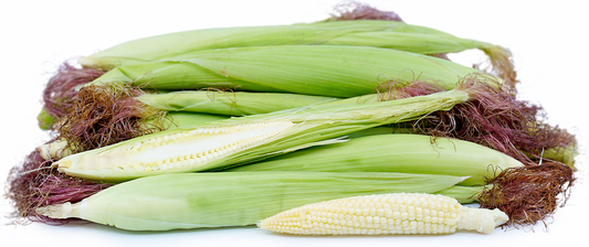 Young Corn With Husk (Thailand)