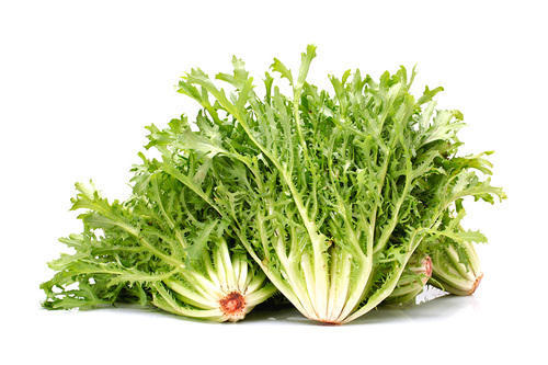 Lettuce Green Frisee