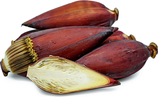 Banana Flowers