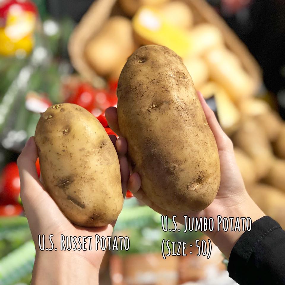 Potato Russet USA (50's) - BIG