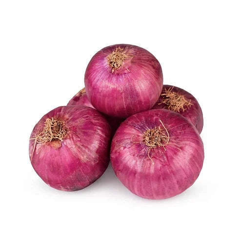 Onion Red China (10kg/pkt)