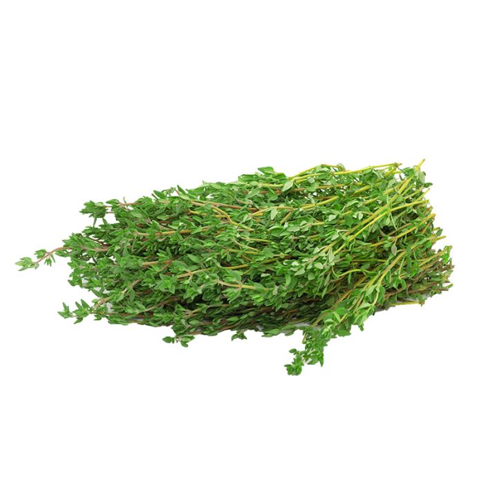 Herb Thyme