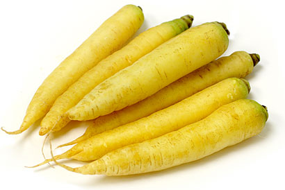 Carrot White/Yellow - BIG size (Holland)