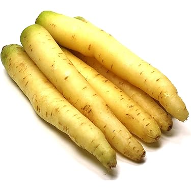 Carrot White/Yellow - BIG size (Holland)