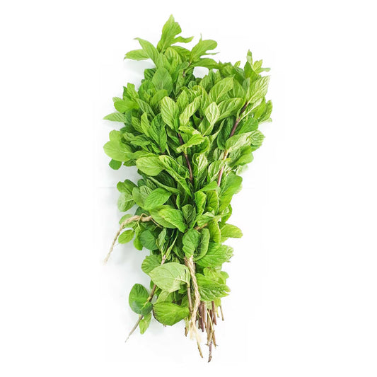 Herb Mint