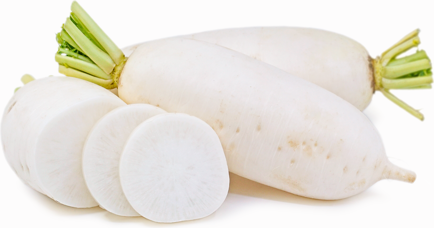 Radish White (Daikon)