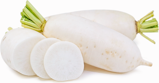Radish White (Daikon)