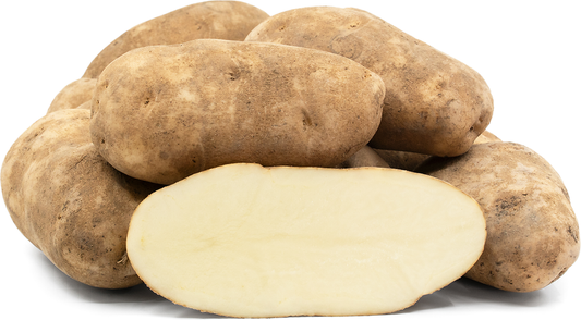 Potato Russet USA (50's) - BIG