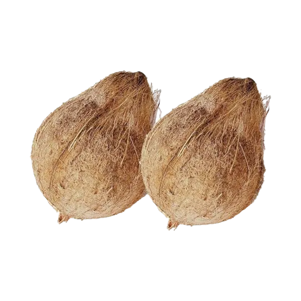 Coconut - Old