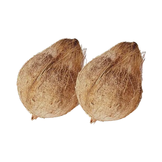 Coconut - Old