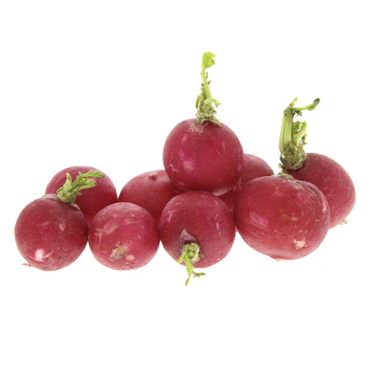 Radish Red / Baby Red Radish