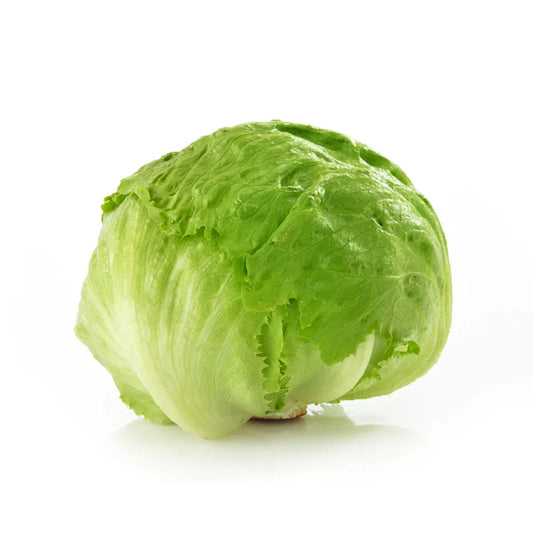 Lettuce Iceberg