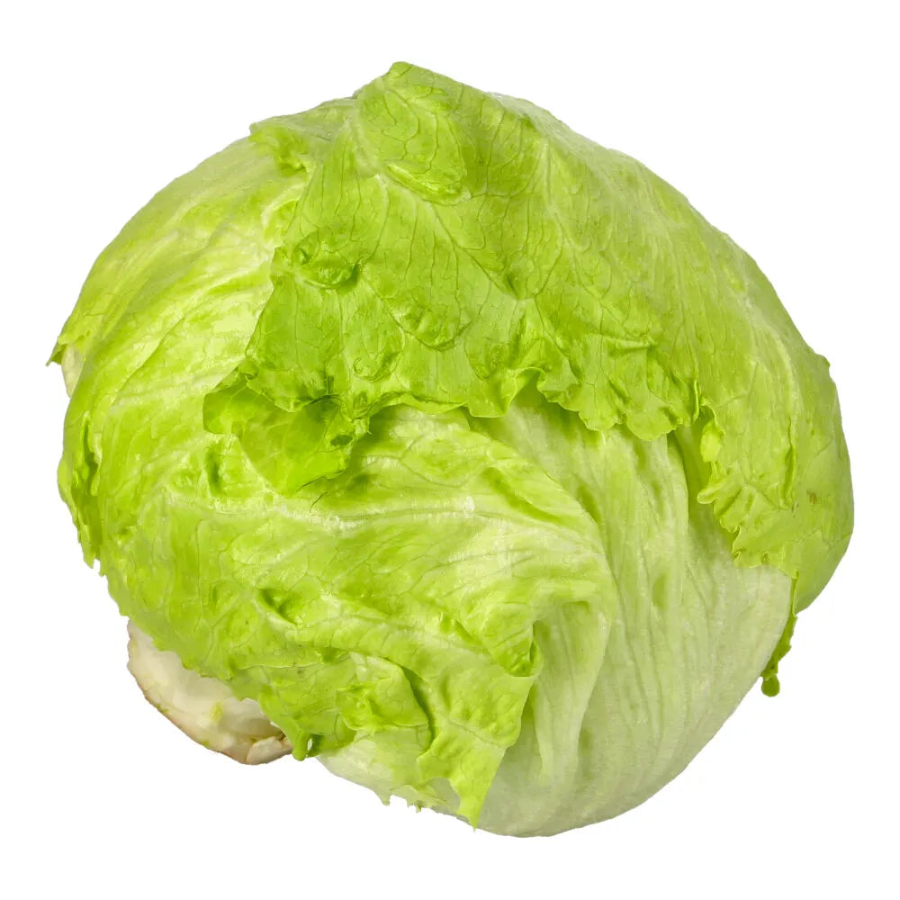 Lettuce Iceberg