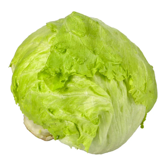 Lettuce Iceberg