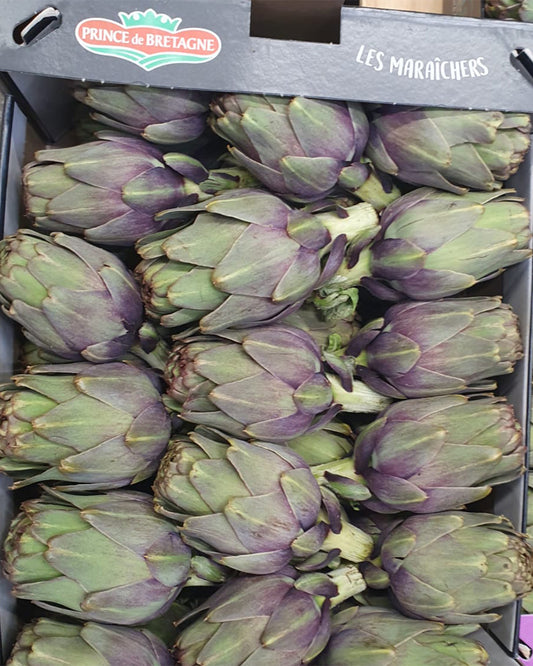 Artichoke Baby Violet