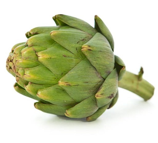 Artichoke Globe